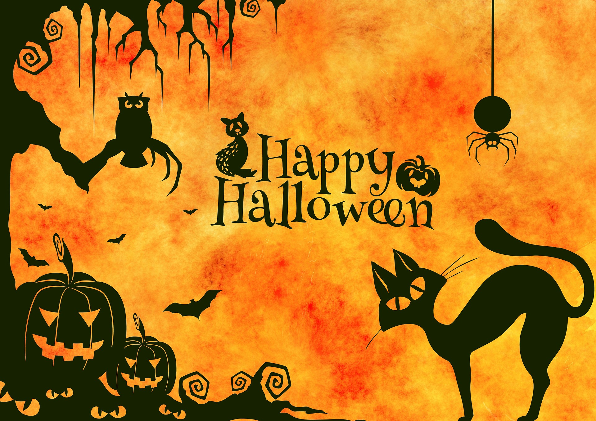 halloween-959006_1920 halloween-959006_1920
